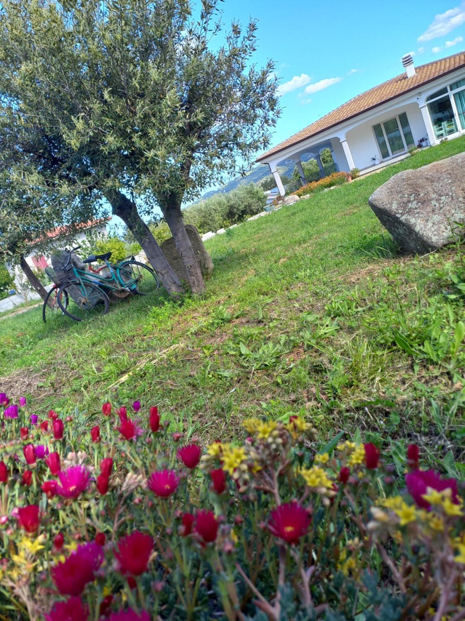 Agriturismo B&B Mares E Montes De Marrante Сініскола Екстер'єр фото